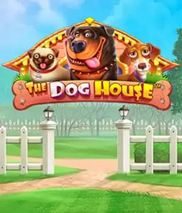 From Pragmatic Play comes The Dog House Slot, featuring an adorable journey among playful pups. Enjoy features including free spins, aimed at providing entertaining gameplay. Perfect for animal enthusiasts an amusing theme with a chance for big wins.